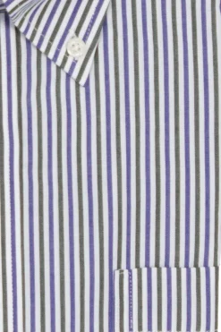 Camicia classica a righe in puro cotone con button down