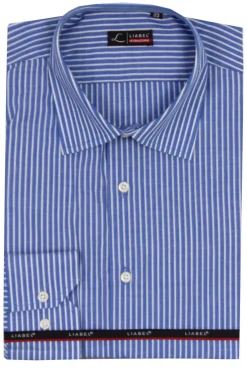 Camicia classica collo classico manica lunga a righe