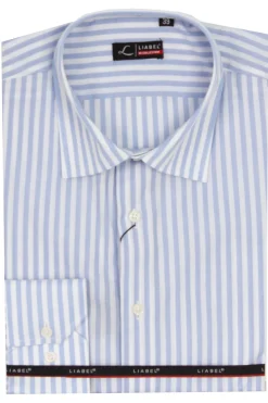 Camicia classica collo classico manica lunga a righe